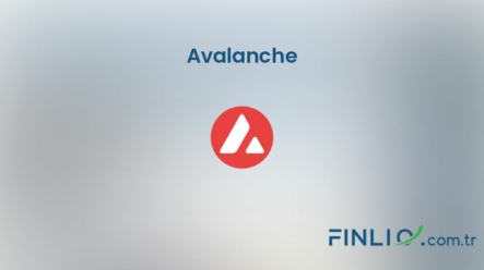 Avalanche (AVAX) – Kaç TL, yorum, grafik, nasıl satın alınır