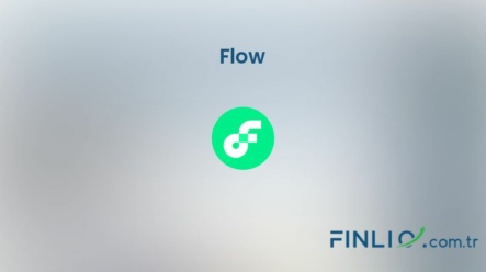 Flow (FLOW) – Kaç TL, yorum, grafik, nasıl satın alınır