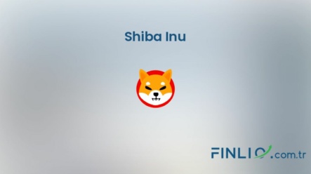 Shiba Inu (SHIB) – Kaç TL, yorum, grafik, nasıl satın alınır
