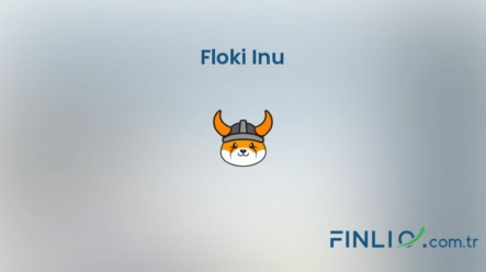 Floki Inu (FLOKI) – Kaç TL, yorum, grafik, nasıl satın alınır