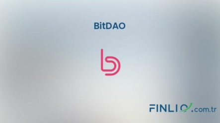 BitDAO (BIT) – Kaç TL, yorum, grafik, nasıl satın alınır