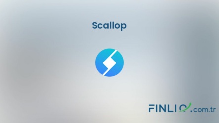 Scallop (SCLP) – Kaç TL, yorum, grafik, nasıl satın alınır