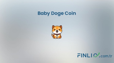 Baby Doge Coin (BABYDOGE) – Kaç TL, yorum, grafik, nasıl satın alınır
