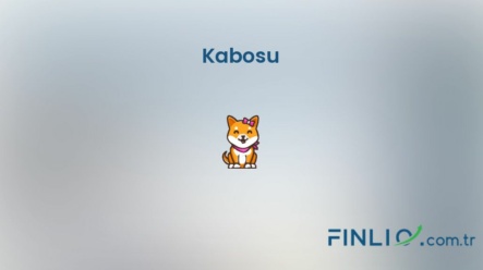 Kabosu (KABOSU) – Kaç TL, yorum, grafik, nasıl satın alınır