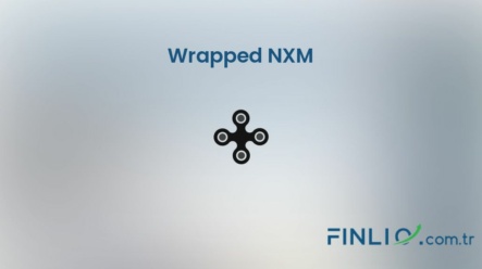 Wrapped NXM (WNXM) – Kaç TL, yorum, grafik, nasıl satın alınır