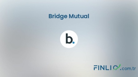 Bridge Mutual (BMI) – Kaç TL, yorum, grafik, nasıl satın alınır