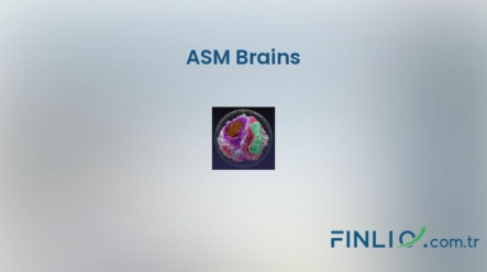 NFT koleksiyonu ASM Brains – Fiyat, taban fiyat, nedir, istatistikler ve nereden satın alınır?