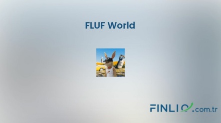 NFT koleksiyonu FLUF World – Fiyat, taban fiyat, nedir, istatistikler ve nereden satın alınır?