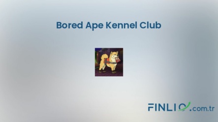 NFT koleksiyonu Bored Ape Kennel Club – Fiyat, taban fiyat, nedir, istatistikler ve nereden satın alınır?