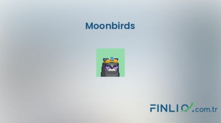 NFT koleksiyonu Moonbirds – Fiyat, taban fiyat, nedir, istatistikler ve nereden satın alınır?