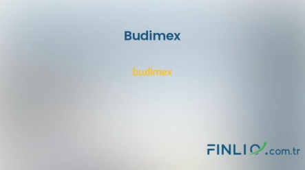 Budimex Hisse Senetleri (BDXPL) – Güncel Fiyat, Grafik, Temettü 2024, Nereden Alınır